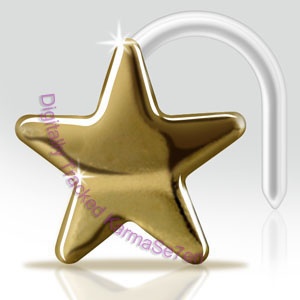 9ct Gold Star Nose Stud with Bioflex Stem Medium